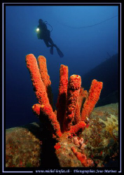 Red Sponges on a Wreck in Bonaire - with my wife Caroline... by Michel Lonfat 